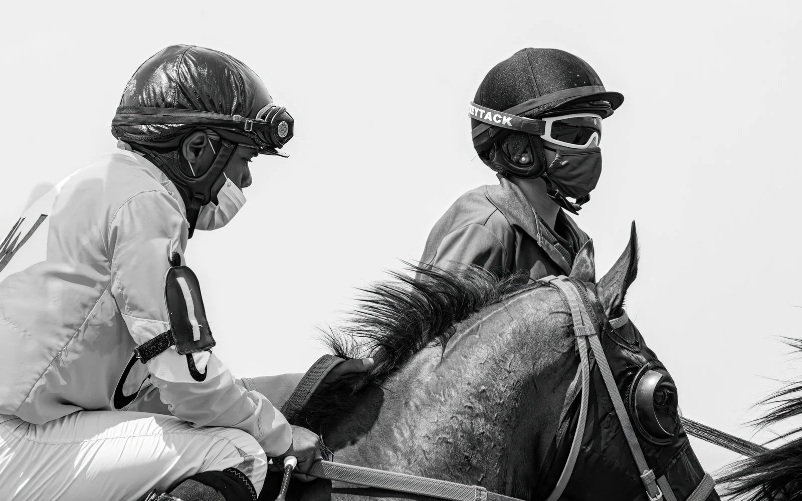 Regard collectif sur le matériel d’équitation