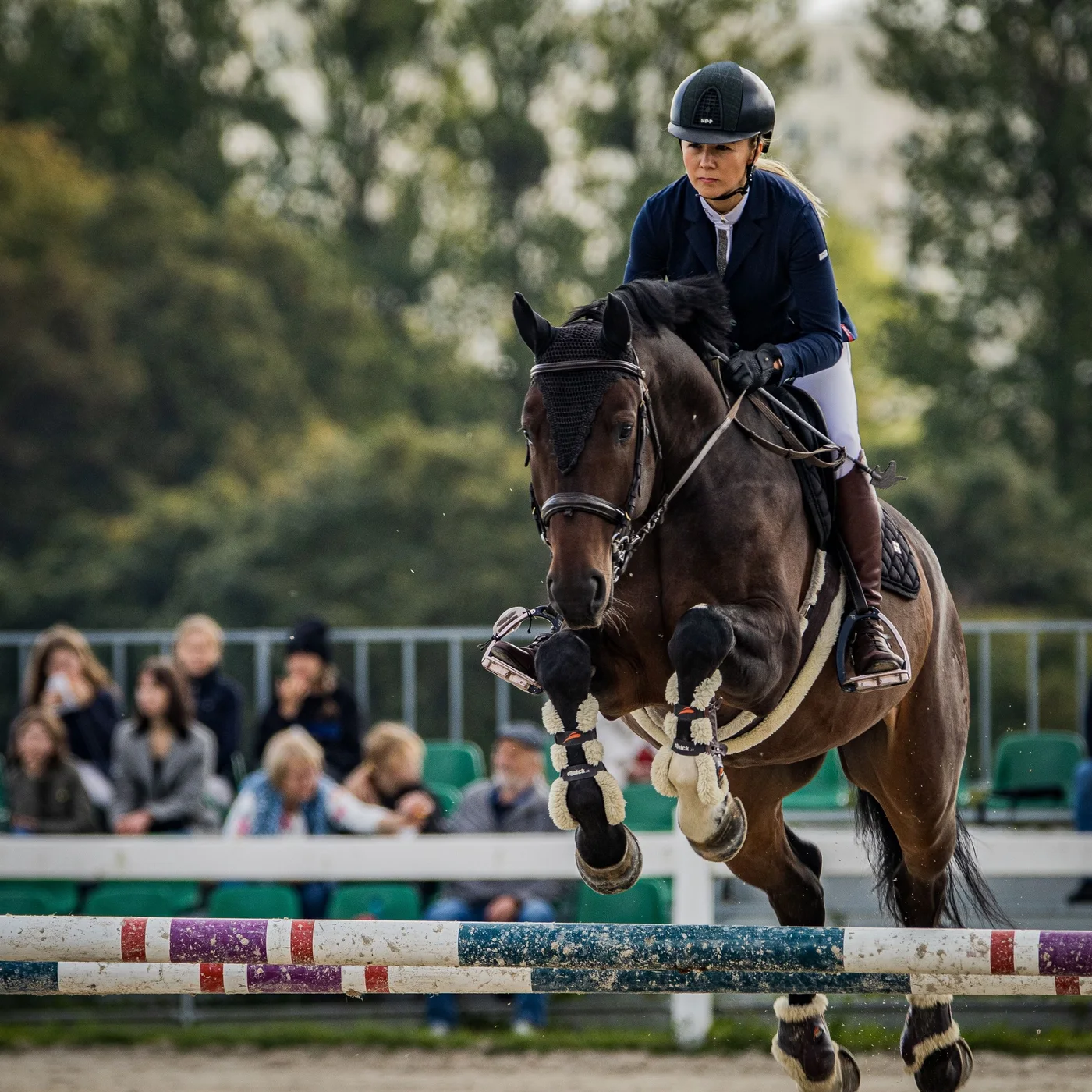 Cavalière en veste marine et son cheval bai au-dessus d’un vertical, devant le public d’un concours